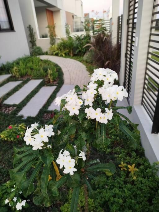 Apartment Dmaria Aconchegante & Campeche Florianopolis