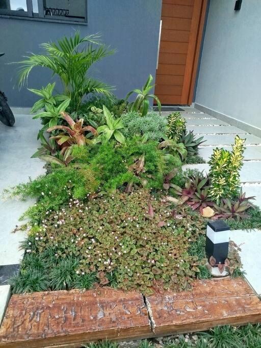Apartment Dmaria Aconchegante & Campeche